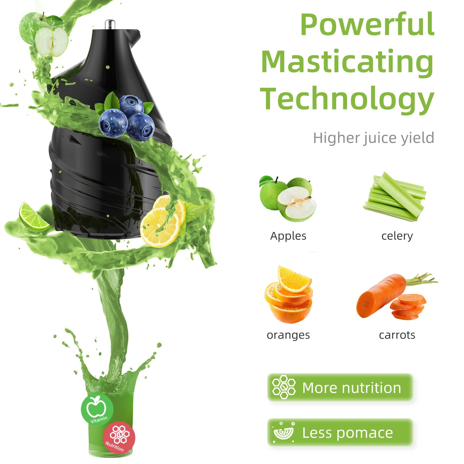 Large Diameter Slow Juicer
